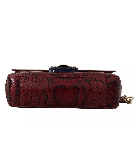 Dolce & Gabbana Pink Red Exotic Skins Gold Chain Purse Lucia Leather ...