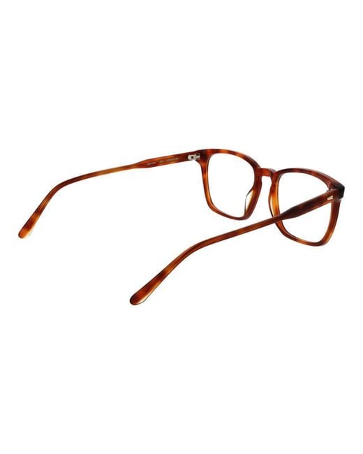 Sandro Brown Acetate Glasses (frames) for men