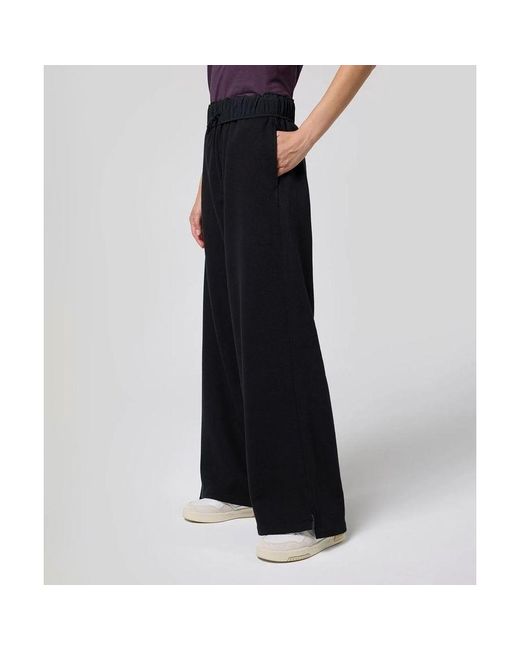 Champion Purple Black Cotton Casual Pants