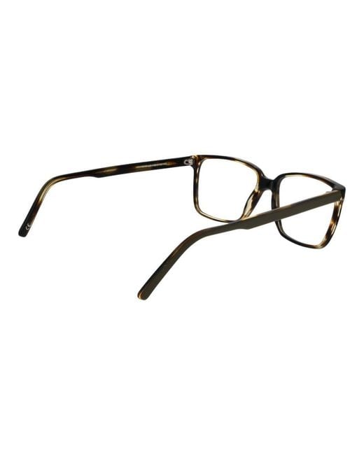 Andy Wolf Black Brown Acetate Glasses (frames)