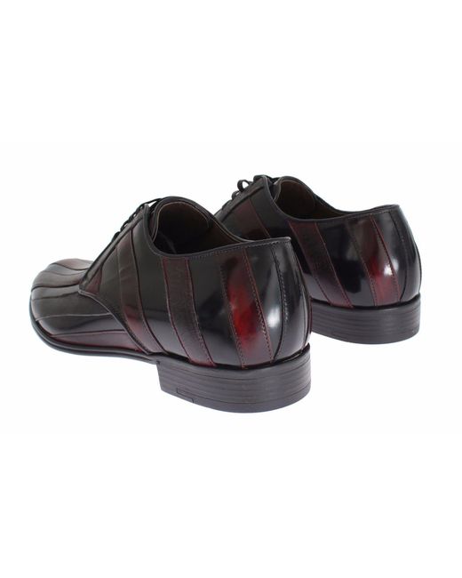 Dolce & Gabbana Black Elegant Bordeaux Striped Leather Dress Shoes for men