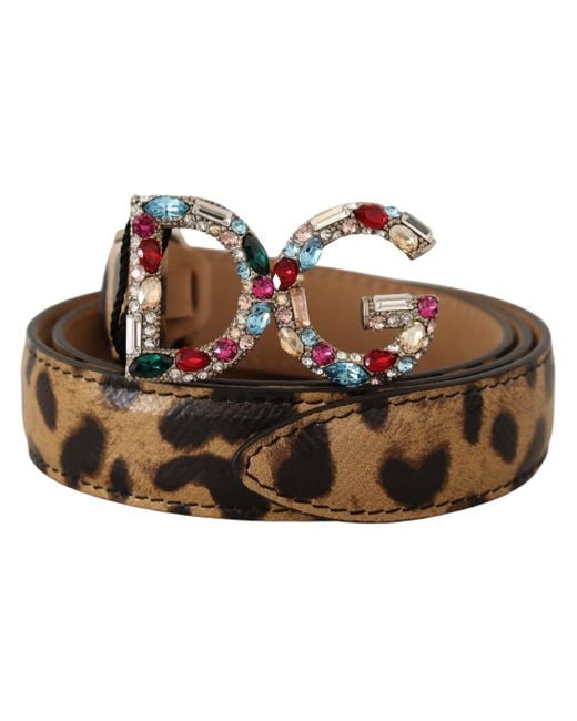 Dolce & Gabbana Black Leopard Leather Dg Crystals Buckle Belt