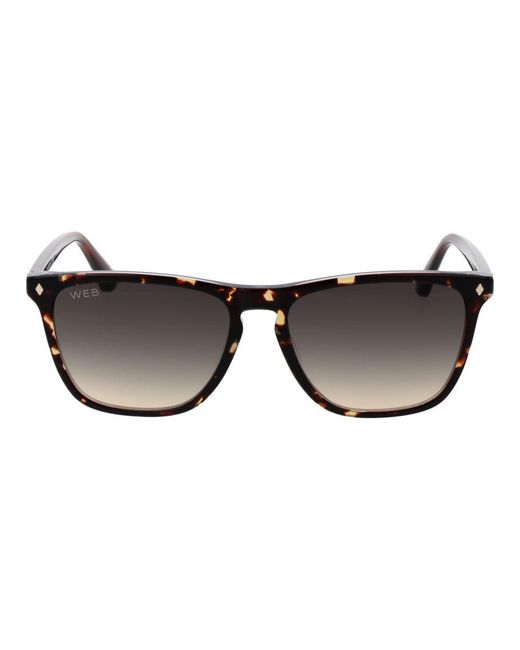 Web Black Brown Acetate Sunglasses for men