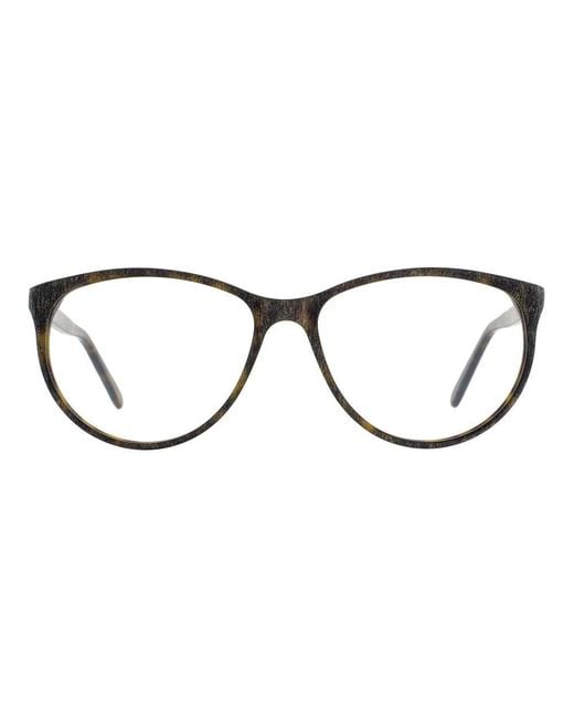 Andy Wolf Brown Acetate Glasses (frames)