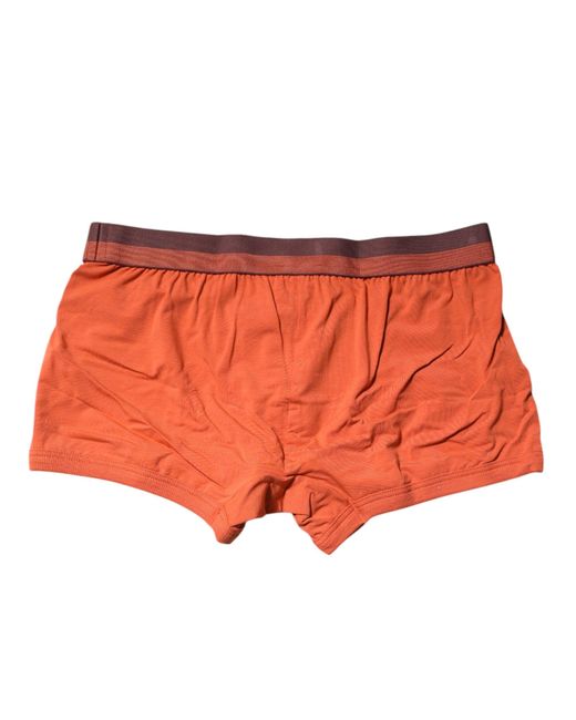 Dolce & Gabbana Orange Cotton Regular Boxer Brief Underwear for men