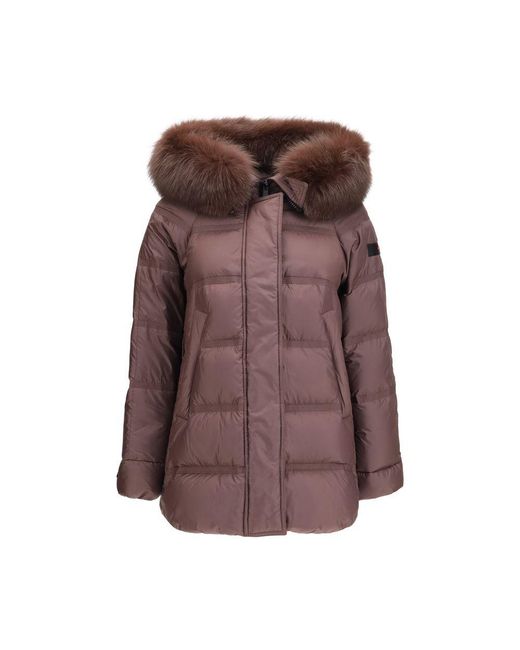 Peuterey Brown Bordeaux Polyester Full
