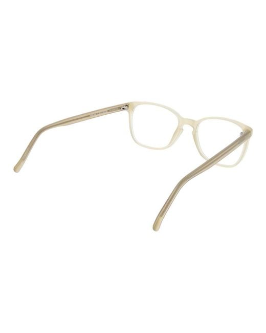 Andy Wolf Metallic Beige Acetate Glasses (frames)