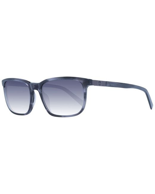 Timberland Blue Gray Acetate Sunglasses for men