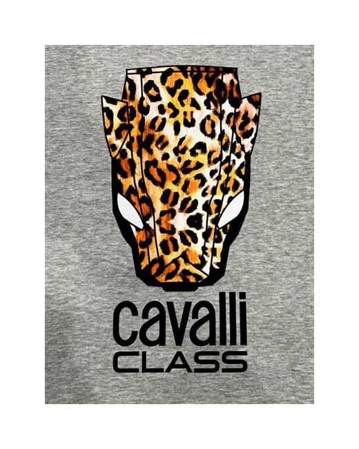 Roberto Cavalli Gray Polyester Sweater