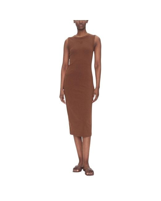 Calvin Klein Brown Cotton Long Dress