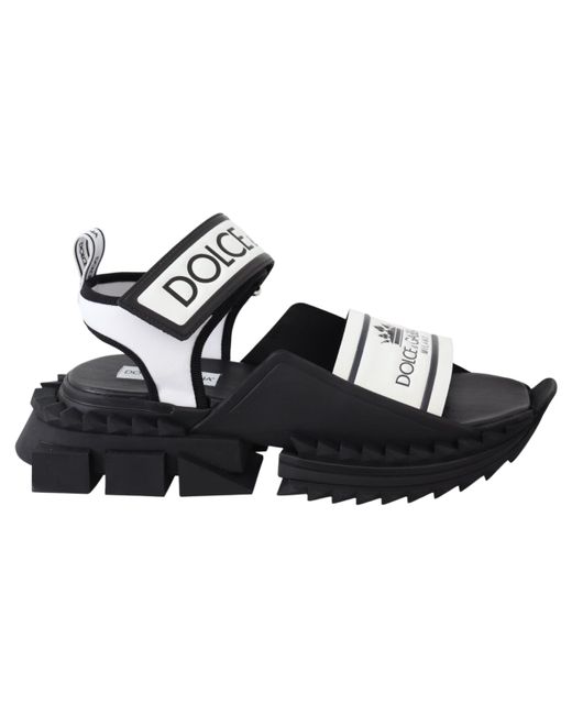 Dolce & Gabbana Super King Strap Shark Slides Sandals Shoes in White for  Men | Lyst