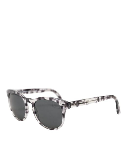Dolce & Gabbana Gray Dg4254 Havana Clear Tinted Lenses Sunglasses