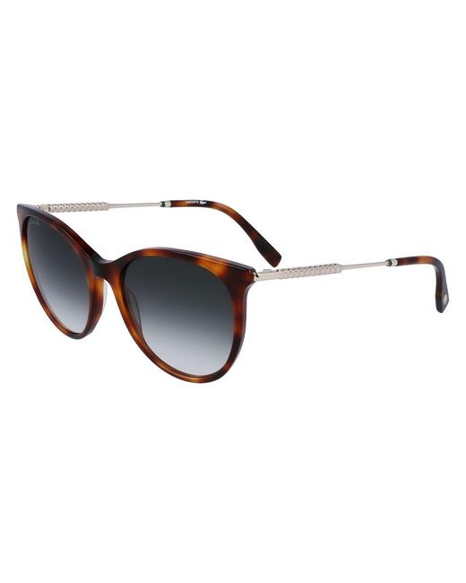Lacoste Brown Acetate Sunglasses