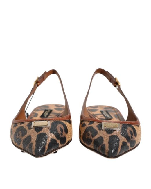 Dolce & Gabbana Brown Leopard Slingback Flats Sandals Shoes