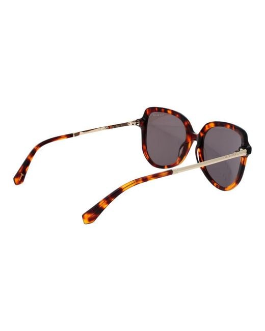 Ted Baker Brown Acetate Sunglasses for men
