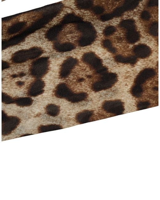 Dolce & Gabbana Brown Leopard Nylon Tights Stocking Pantyhose Socks