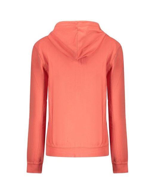 North Sails Pink Cotton Sweater