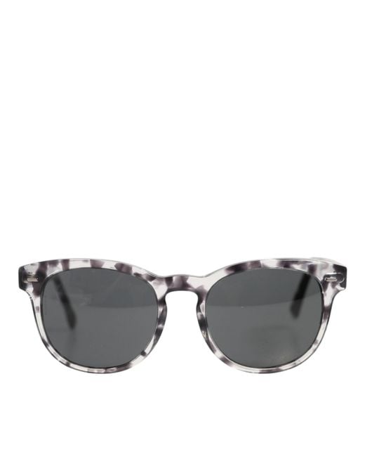 Dolce & Gabbana Gray Dg4254 Havana Clear Tinted Lenses Sunglasses