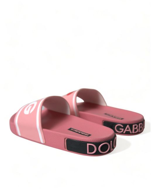 Dolce & Gabbana Pink Chic Calf Leather Slide Flats