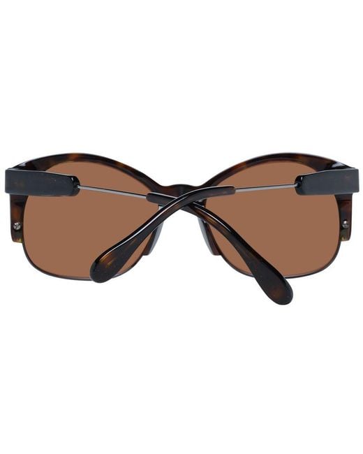 Serengeti Brown Sunglass