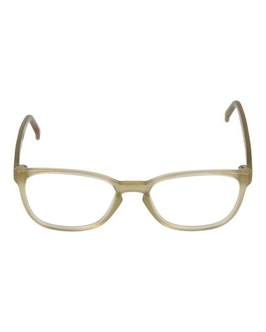 Andy Wolf Metallic Beige Acetate Glasses (frames)