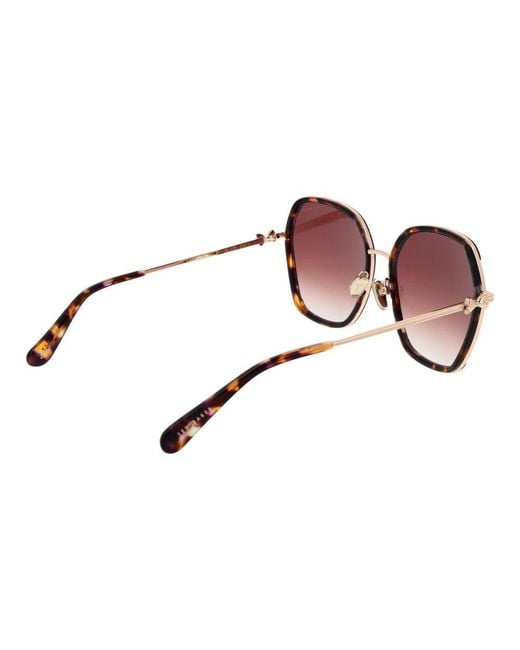 Ted Baker Brown Acetate Sunglasses