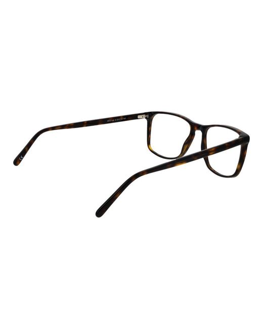 Andy Wolf Black Brown Acetate Glasses (frames)