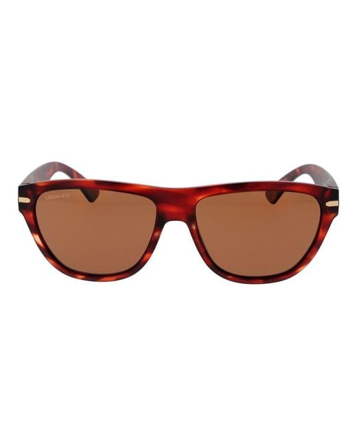 Serengeti Brown Sunglasses