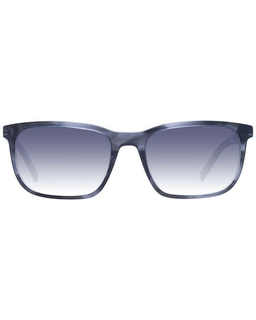 Timberland Blue Gray Acetate Sunglasses for men