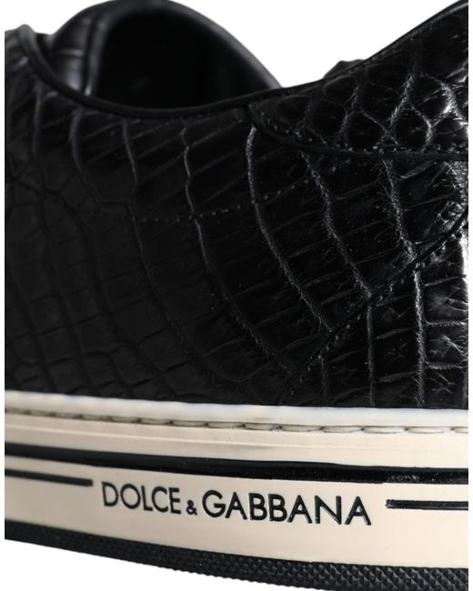 Dolce & Gabbana Black Rome Sneakers In Crocodile Leather for men