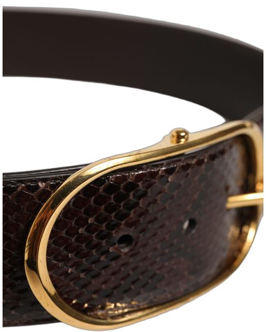 Dolce & Gabbana Black Brown Python Leather Gold Metal Buckle Belt