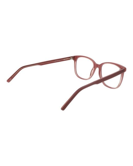 Andy Wolf Brown Pink Acetate Glasses (frames)