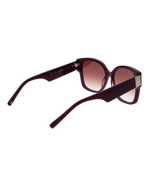 Ted Baker Brown Purple Acetate Sunglasses