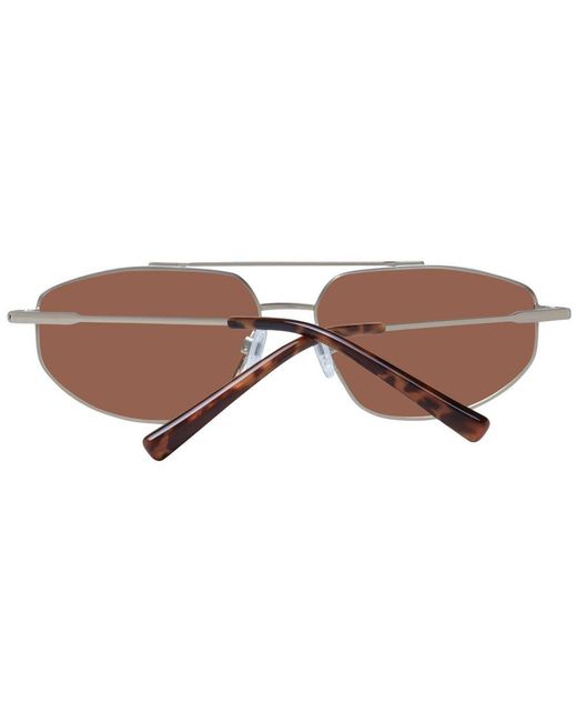 Serengeti Brown Gold Metal Sunglasses for men