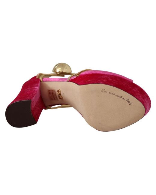 Dolce & Gabbana Pink Cr0896-Aj700-Fuxia