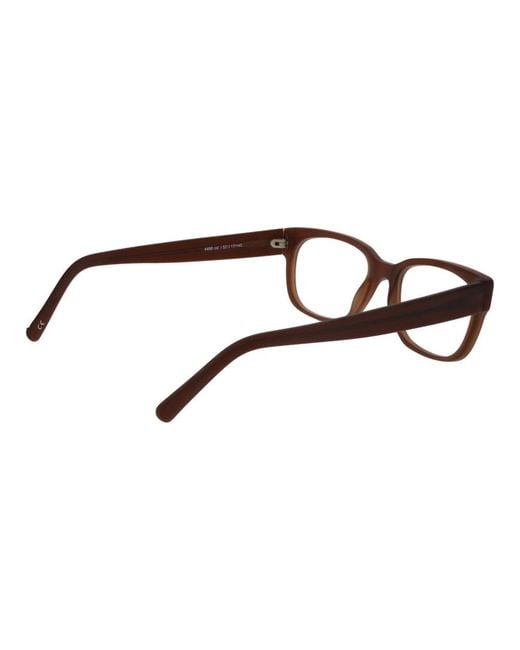 Andy Wolf Brown Acetate Glasses (Frames)