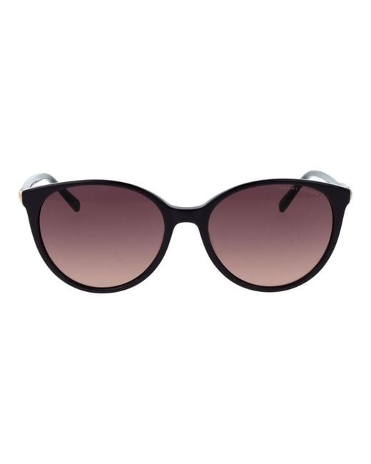 Tommy Hilfiger Brown Acetate Sunglasses