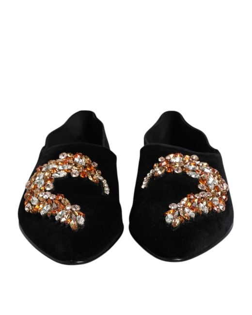Dolce & Gabbana Black Embellished Velvet Loafers for men