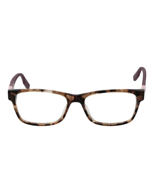 Converse Brown Glasses