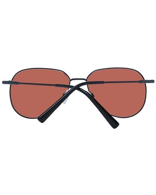 Serengeti Brown Black Metal Sunglasses for men