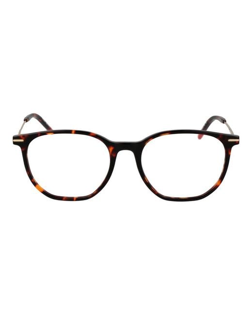 Boss Black Brown Acetate Glasses (frames)