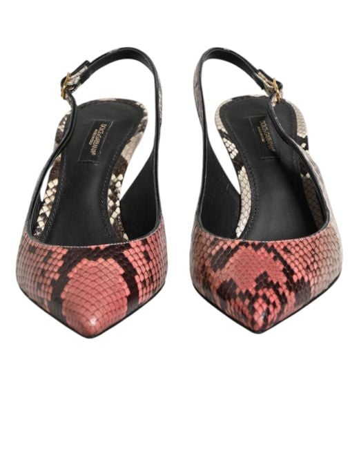 Dolce & Gabbana Brown Multicolor Leather Heels Slingback Shoes