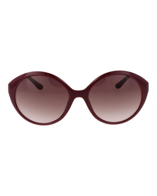 Guess Brown Plastic Sunglasses