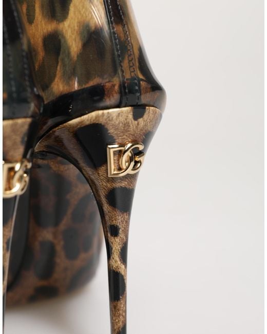 Dolce & Gabbana Brown Leopard Print Pvc Pointed Toe Boots Shoes