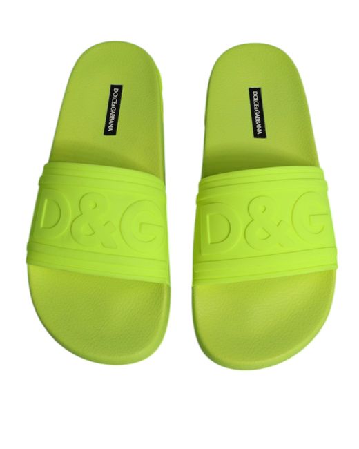 Dolce & Gabbana Green Sliders