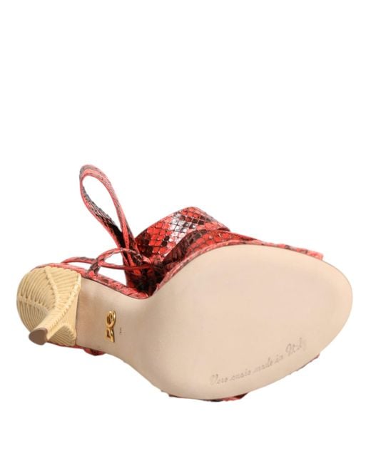 Dolce & Gabbana Red Coral Python Leather Heels Sandals Shoes