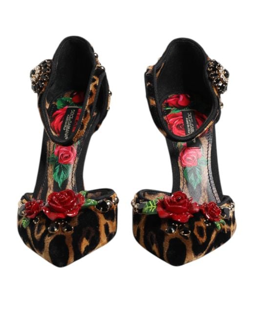 Dolce & Gabbana Multicolor Brown Leopard Crystal Roses Pumps Shoes