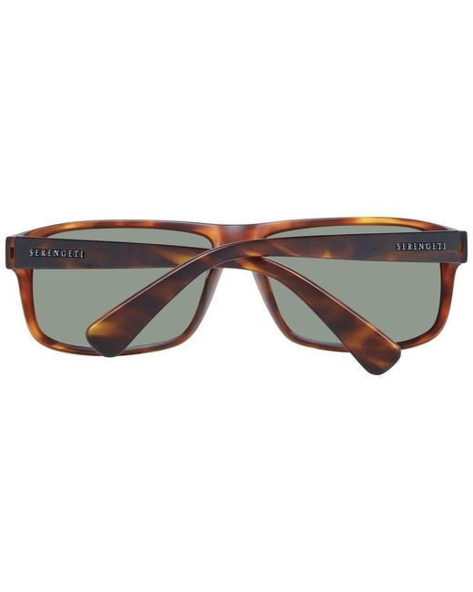 Serengeti Brown Sunglasses