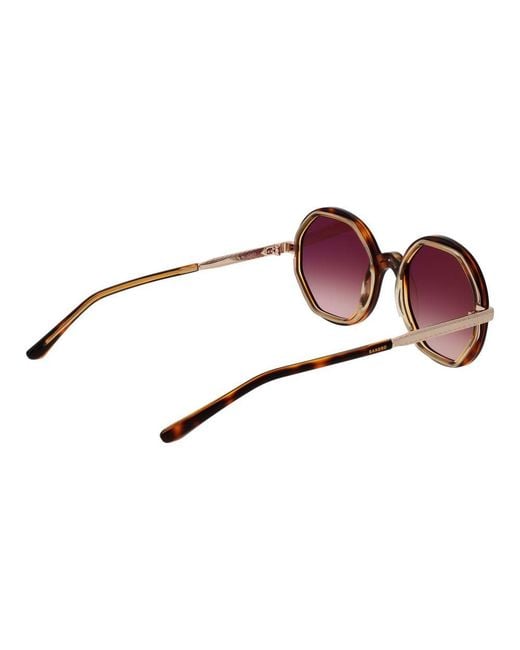 Sandro Brown Acetate Sunglasses