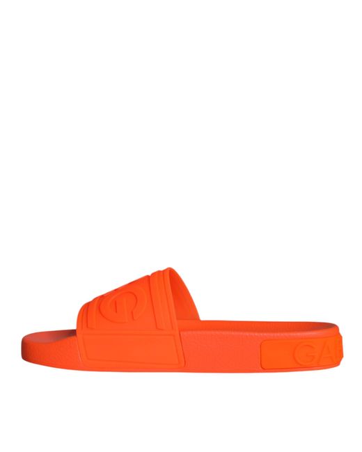 Dolce & Gabbana Orange Sliders